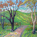 Springtime, Sonoma County