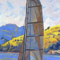 Tiburon, Racing Sail